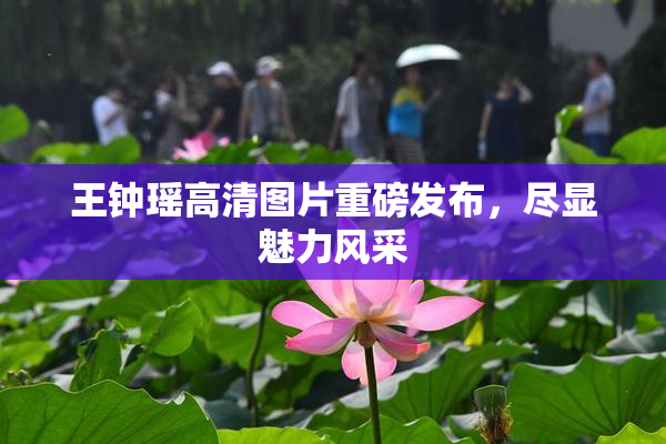 王钟瑶高清图片重磅发布，尽显魅力风采