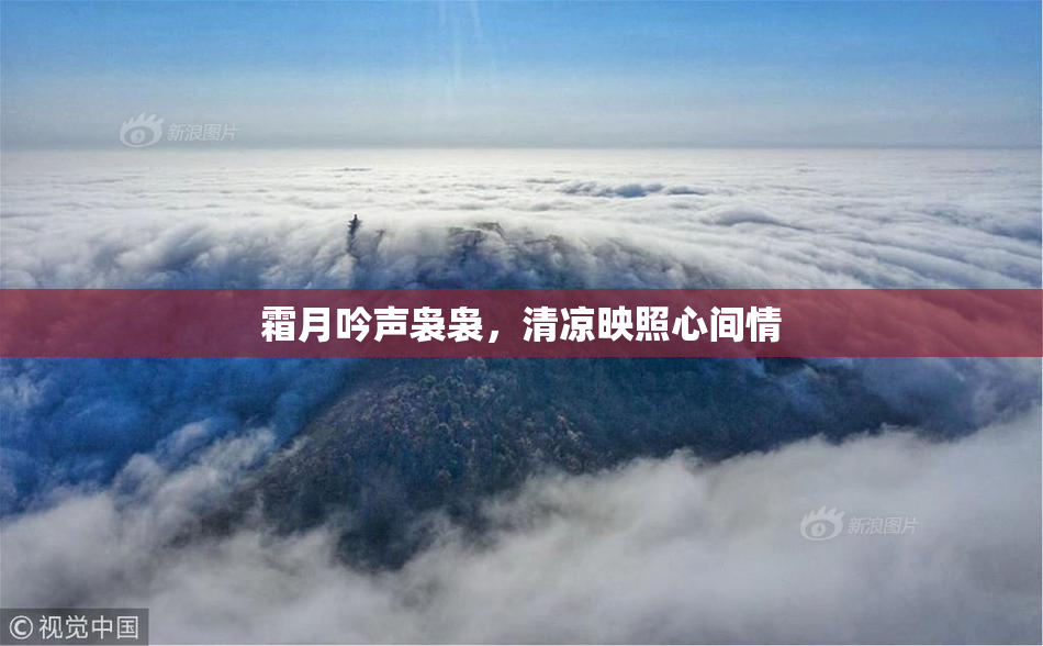 霜月吟声袅袅，清凉映照心间情