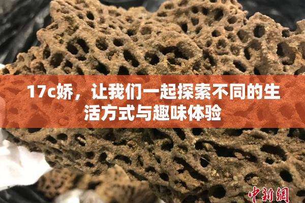 17c娇，让我们一起探索不同的生活方式与趣味体验