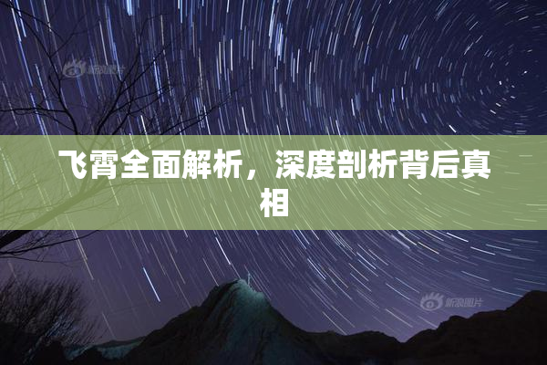 飞霄全面解析，深度剖析背后真相