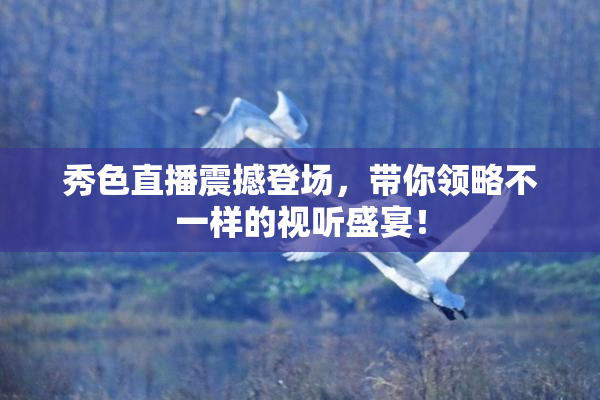 秀色直播震撼登场，带你领略不一样的视听盛宴！
