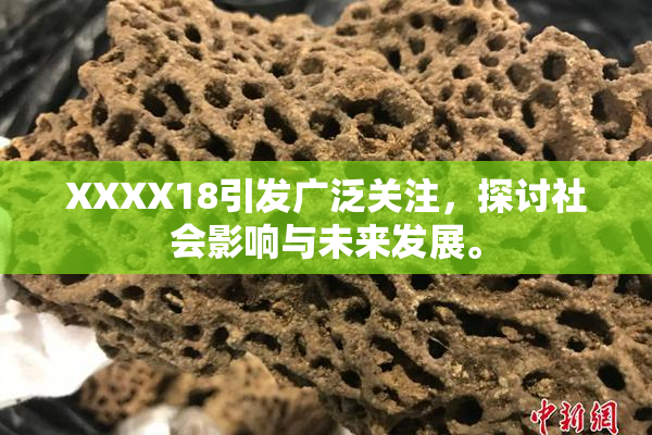XXXX18引发广泛关注，探讨社会影响与未来发展。