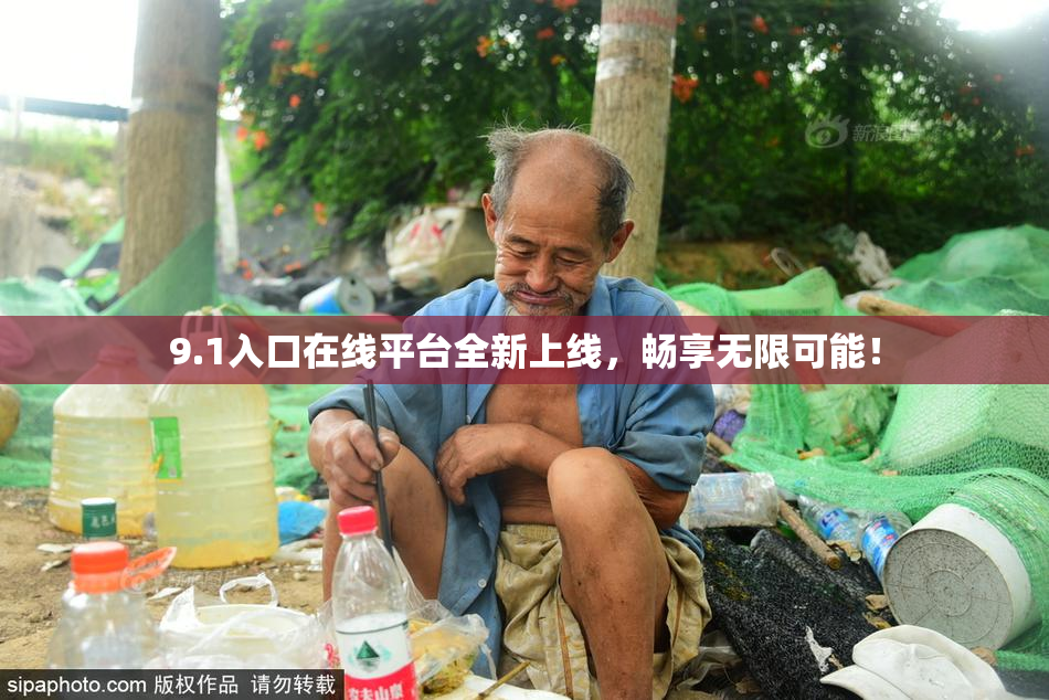 9.1入口在线平台全新上线，畅享无限可能！