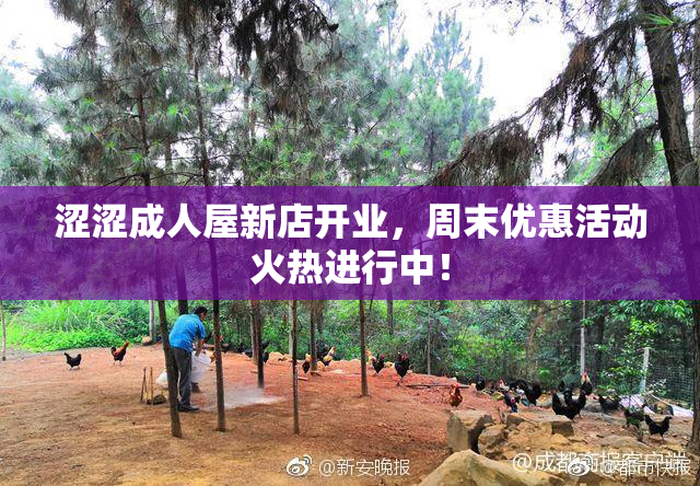 涩涩成人屋新店开业，周末优惠活动火热进行中！