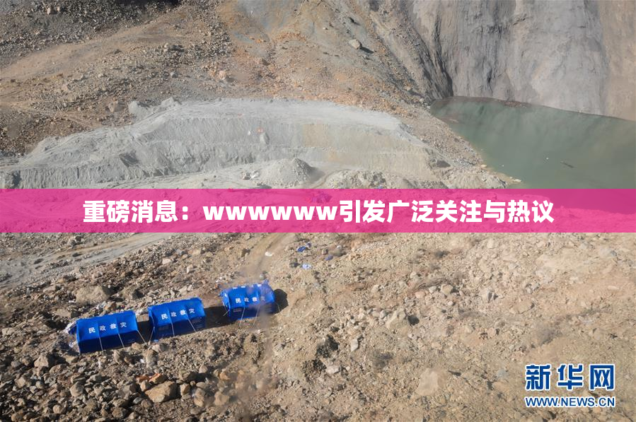 重磅消息：wwwwww引发广泛关注与热议