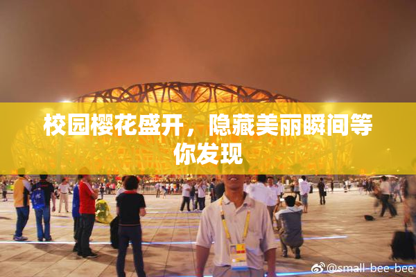 校园樱花盛开，隐藏美丽瞬间等你发现