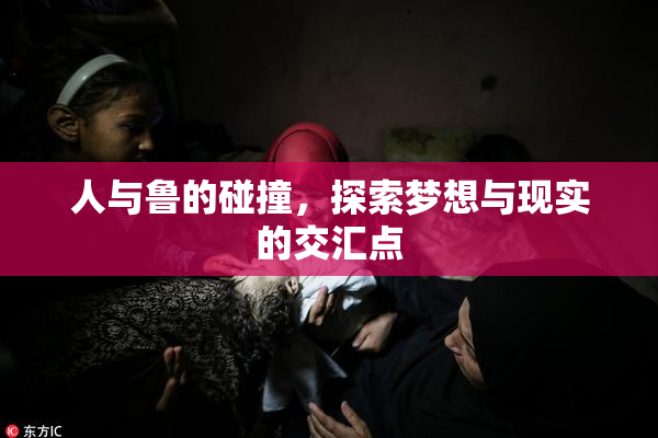 人与鲁的碰撞，探索梦想与现实的交汇点