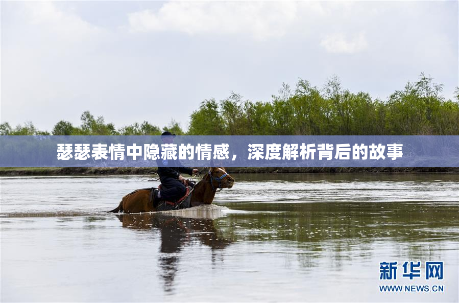 瑟瑟表情中隐藏的情感，深度解析背后的故事