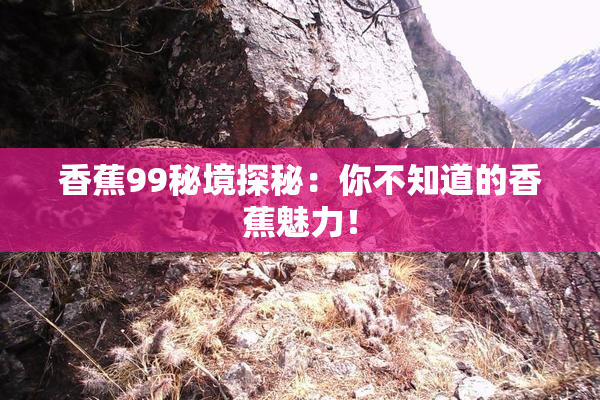 香蕉99秘境探秘：你不知道的香蕉魅力！
