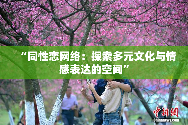“同性恋网络：探索多元文化与情感表达的空间”