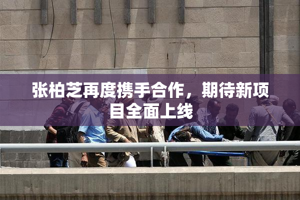 张柏芝再度携手合作，期待新项目全面上线
