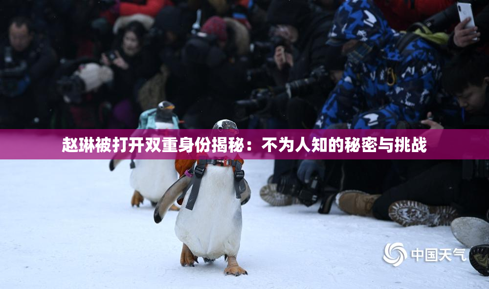 赵琳被打开双重身份揭秘：不为人知的秘密与挑战