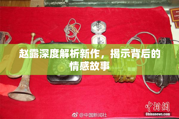 赵露深度解析新作，揭示背后的情感故事