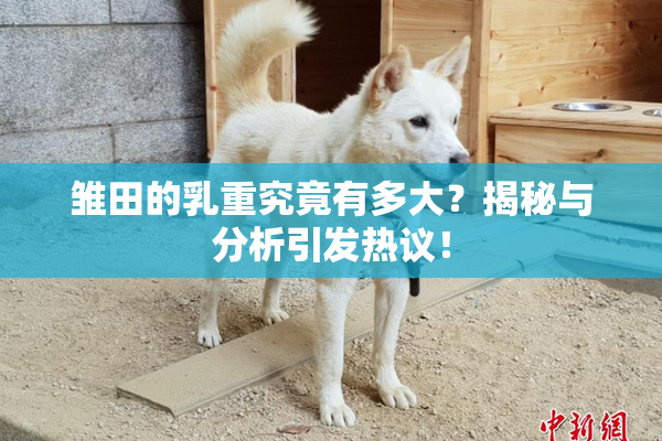 雏田的乳重究竟有多大？揭秘与分析引发热议！
