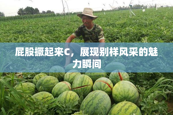屁股撅起来C，展现别样风采的魅力瞬间
