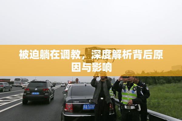 被迫躺在调教，深度解析背后原因与影响