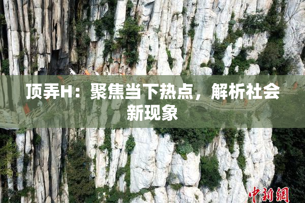 顶弄H：聚焦当下热点，解析社会新现象