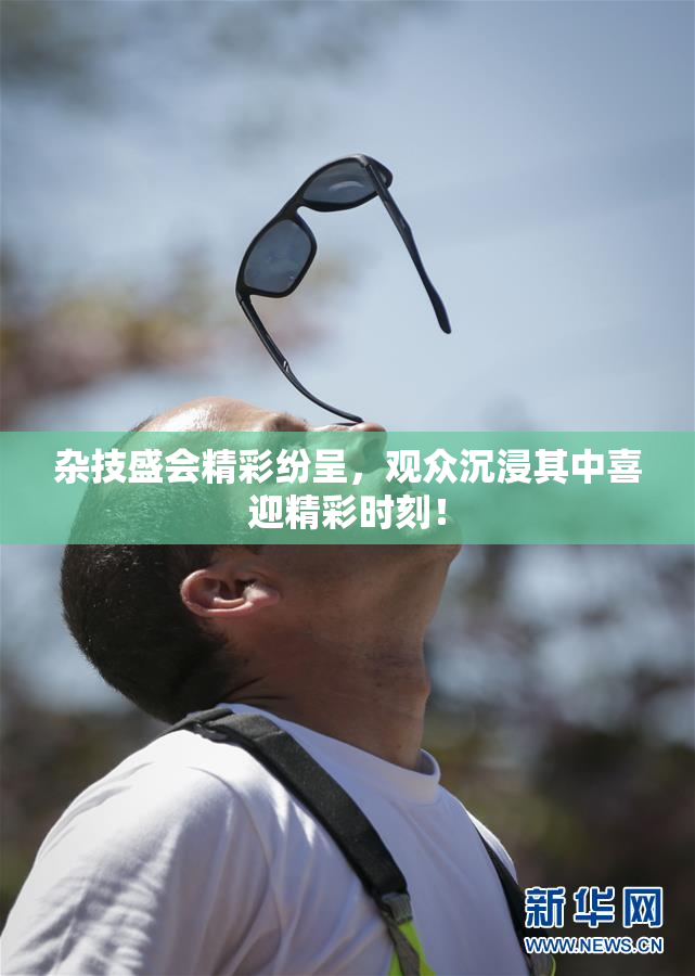 杂技盛会精彩纷呈，观众沉浸其中喜迎精彩时刻！