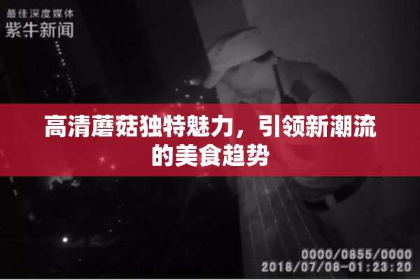高清蘑菇独特魅力，引领新潮流的美食趋势