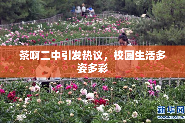 茶啊二中引发热议，校园生活多姿多彩
