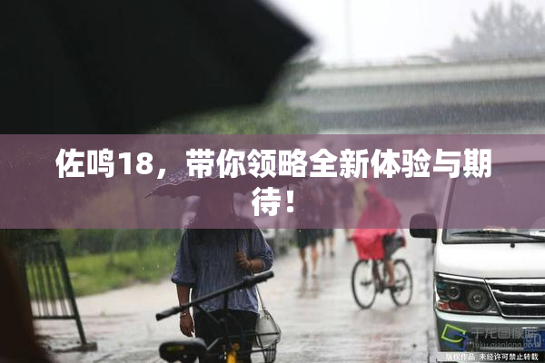佐鸣18，带你领略全新体验与期待！