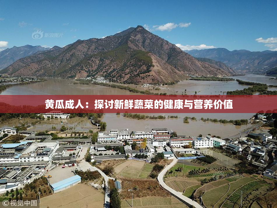 黄瓜成人：探讨新鲜蔬菜的健康与营养价值