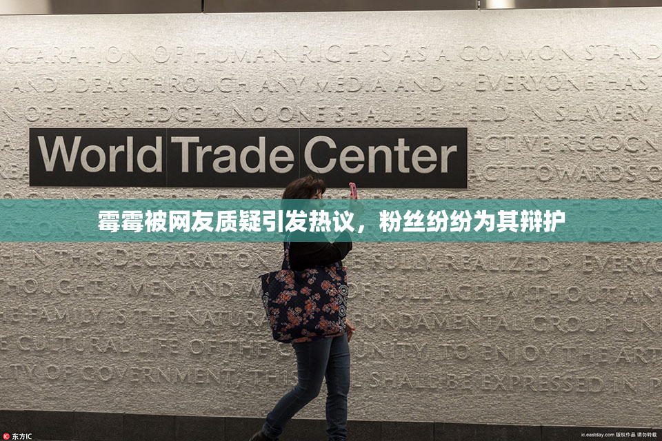 霉霉被网友质疑引发热议，粉丝纷纷为其辩护