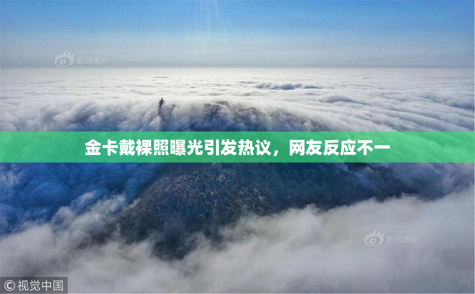 金卡戴裸照曝光引发热议，网友反应不一
