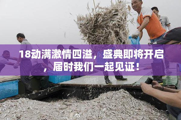 18动满激情四溢，盛典即将开启，届时我们一起见证！