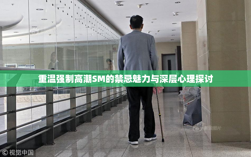 重温强制高潮SM的禁忌魅力与深层心理探讨