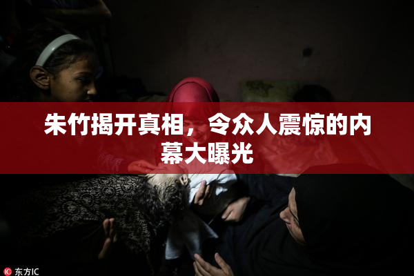 朱竹揭开真相，令众人震惊的内幕大曝光