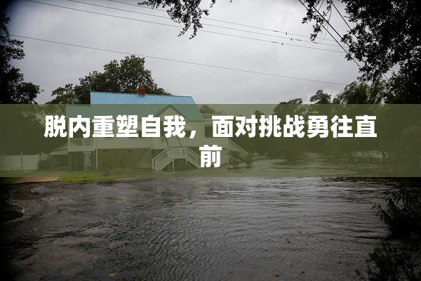 脱内重塑自我，面对挑战勇往直前