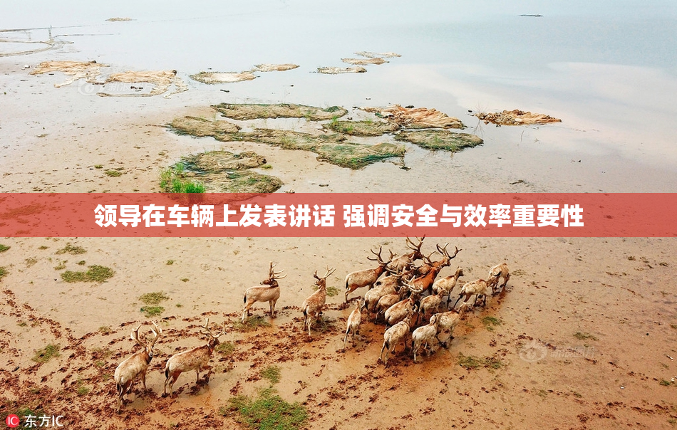 领导在车辆上发表讲话 强调安全与效率重要性