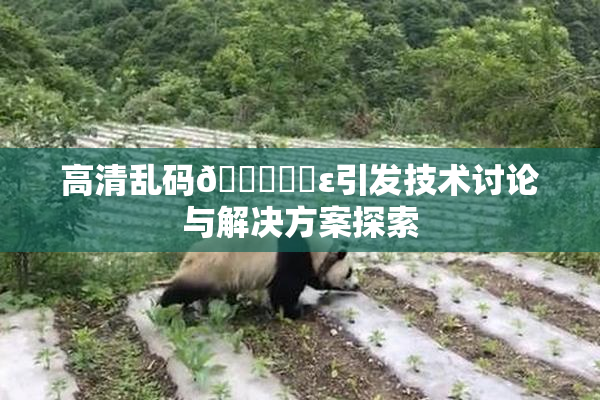 高清乱码🔞❌‌ε引发技术讨论与解决方案探索