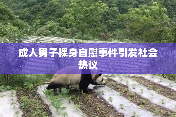 成人男子裸身自慰事件引发社会热议