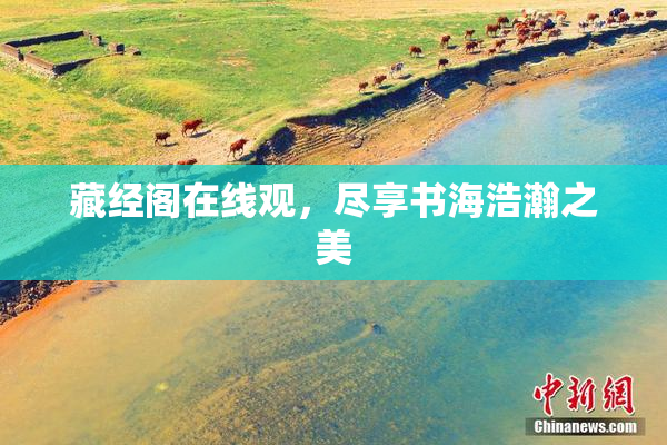 藏经阁在线观，尽享书海浩瀚之美