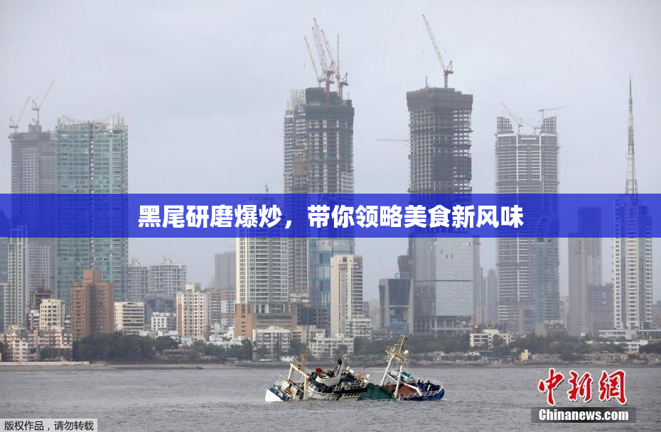 黑尾研磨爆炒，带你领略美食新风味