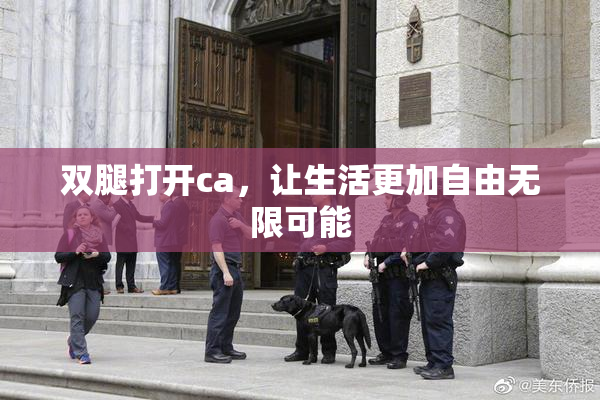 双腿打开ca，让生活更加自由无限可能
