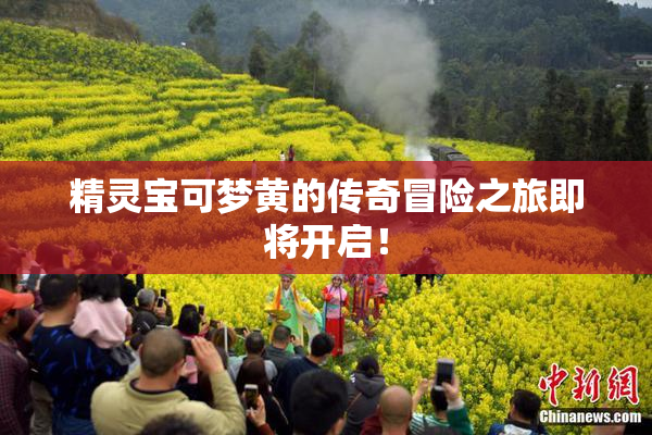 精灵宝可梦黄的传奇冒险之旅即将开启！