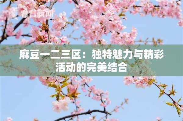 麻豆一二三区：独特魅力与精彩活动的完美结合