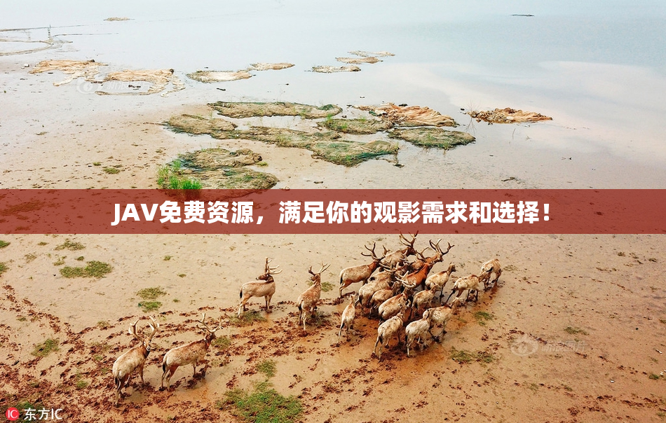 JAV免费资源，满足你的观影需求和选择！