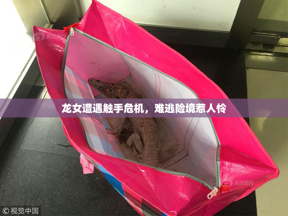 龙女遭遇触手危机，难逃险境惹人怜
