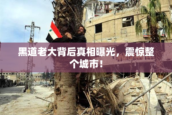 黑道老大背后真相曝光，震惊整个城市！