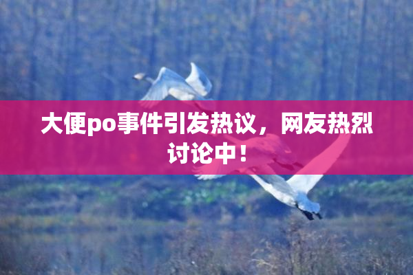 大便po事件引发热议，网友热烈讨论中！