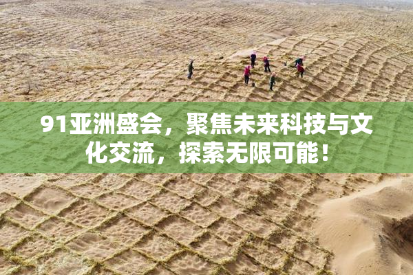 91亚洲盛会，聚焦未来科技与文化交流，探索无限可能！