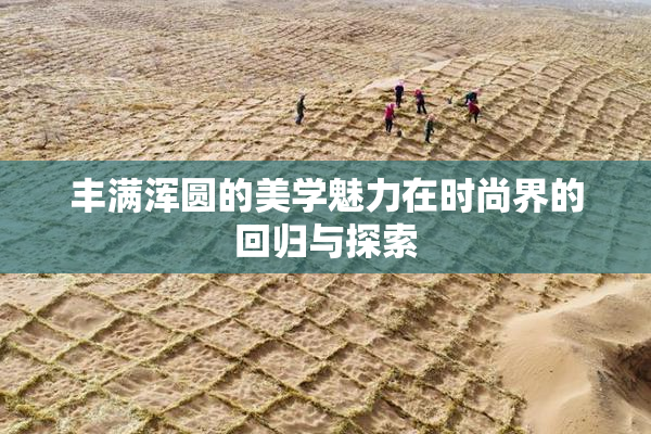 丰满浑圆的美学魅力在时尚界的回归与探索