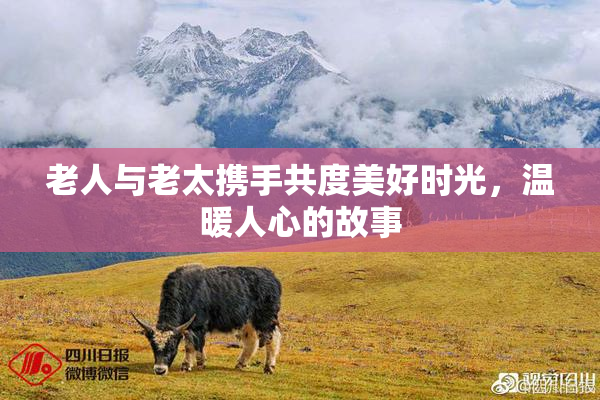 老人与老太携手共度美好时光，温暖人心的故事