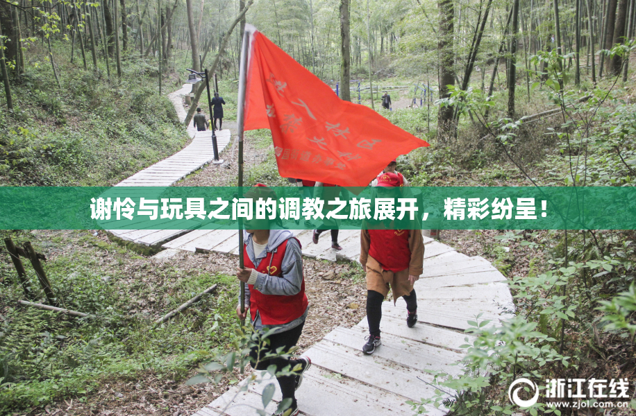 谢怜与玩具之间的调教之旅展开，精彩纷呈！