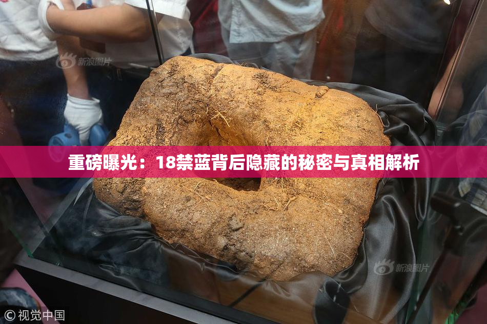 重磅曝光：18禁蓝背后隐藏的秘密与真相解析