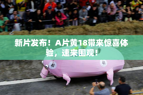 新片发布！A片黄18带来惊喜体验，速来围观！